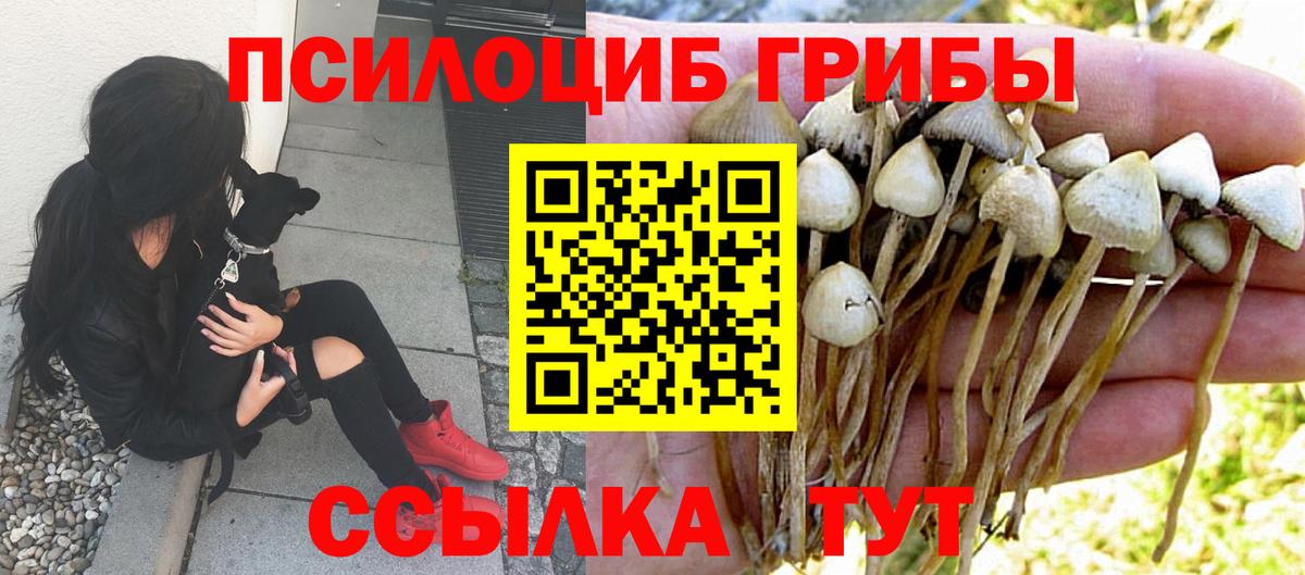 Шебекино  Галлюциногенные грибы GOLDEN TEACHER  Вход с VPN 